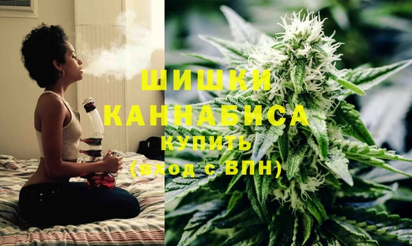 бошки Алексин