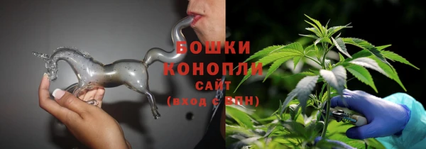 бошки Алексин