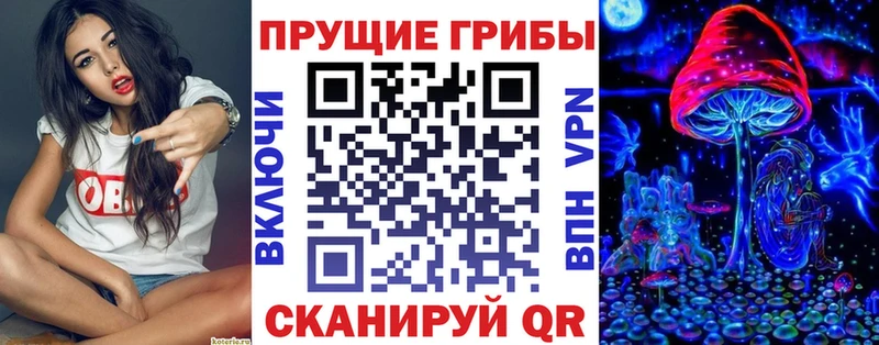 Галлюциногенные грибы GOLDEN TEACHER  Котовск 