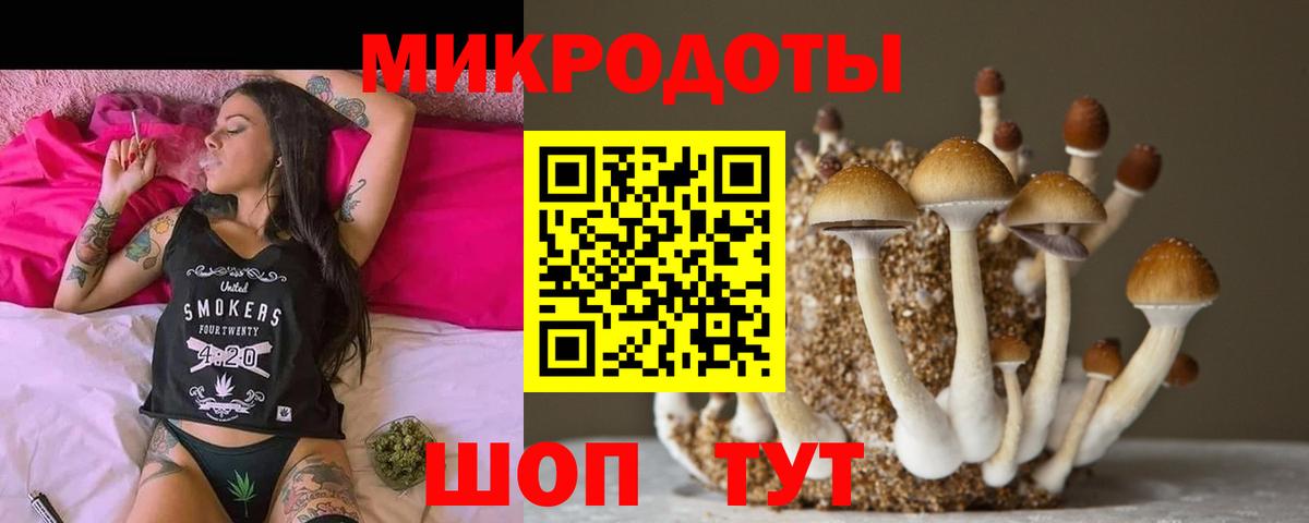 Галлюциногенные грибы прущие грибы Котовск