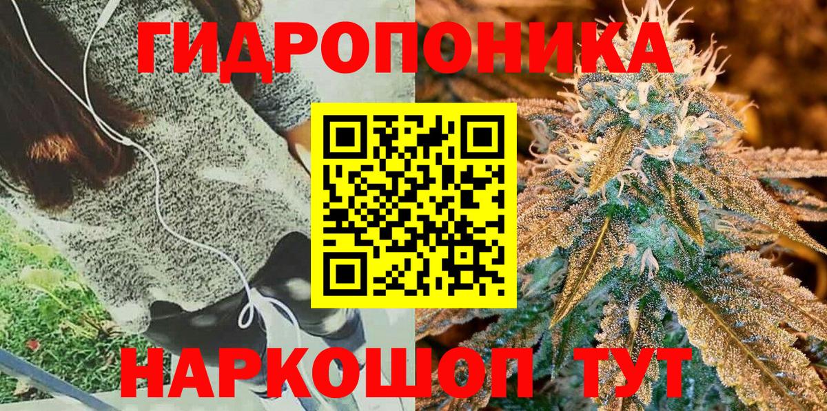 Канабис LSD WEED  Канабис планчик  Бошки марихуана планчик  Вход с VPN  Котовск 